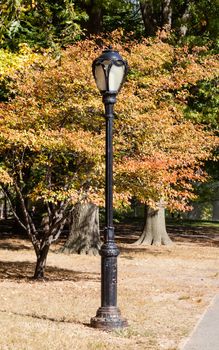 A lamp post in Central Park, New York in the United States of America is pictured against autumn foliage.