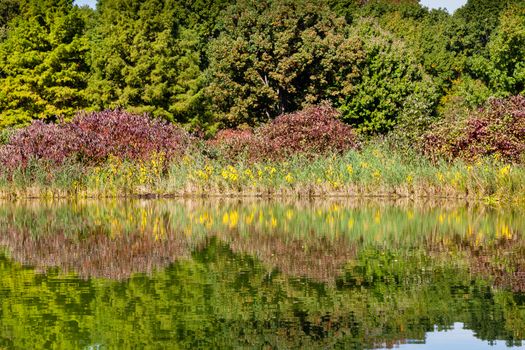 The view across Turtle Pond in Central Park, New York City in the United States of America on a still autumn morning.