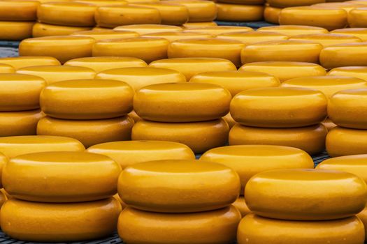 cheeses stacked on display in the market square of Alkmaar. netherlands holland