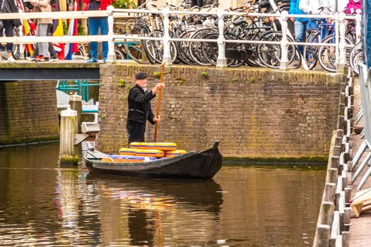 arriving at the market of alkmaar in boat with its cheeses for sale. netherlands holland