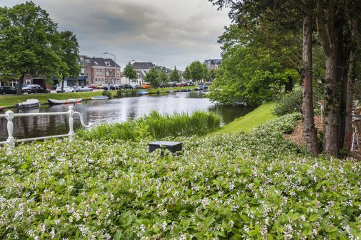 landscape of a canal with plants boats and the surrounding houses. City of Alkmaarr. netherlands holland