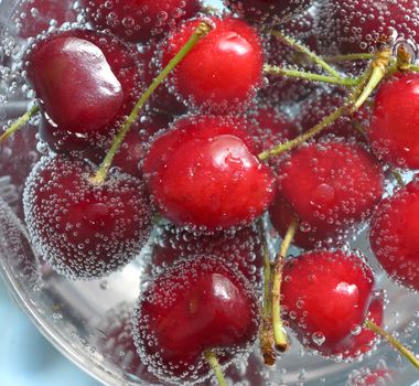 Sweet Cherries and Bubbles in water