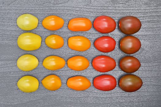 Conceptual Gradient Various Colorful Cherry Tomatoes