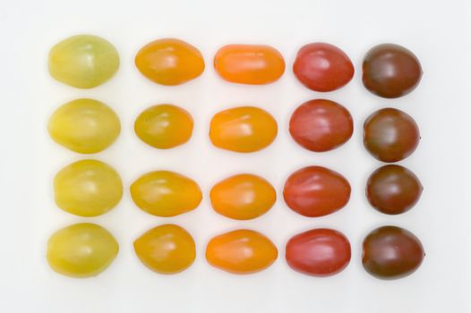 Conceptual Gradient Various Colorful Cherry Tomatoes