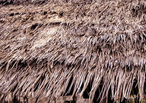 Roofs made of materials from the blade of grass