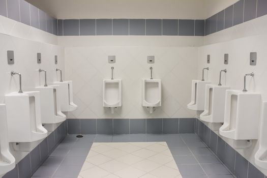 comfort male Toilet Urinals
