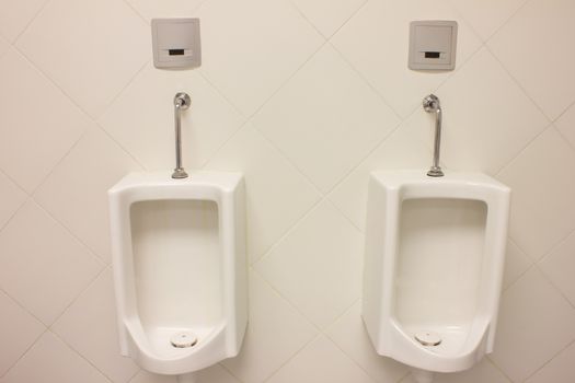 comfort male Toilet Urinals