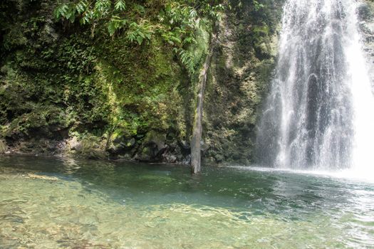 walk and discover the prego salto waterfall on the island of sao miguel, azores, Portugal.
