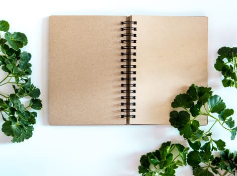 Green leaves around the nature color of blank brown page spiral notebook