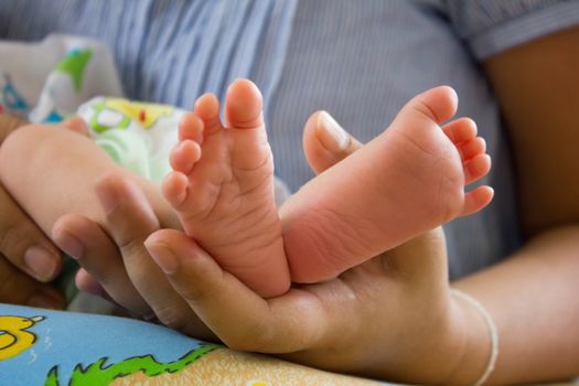 baby foot in hand mom