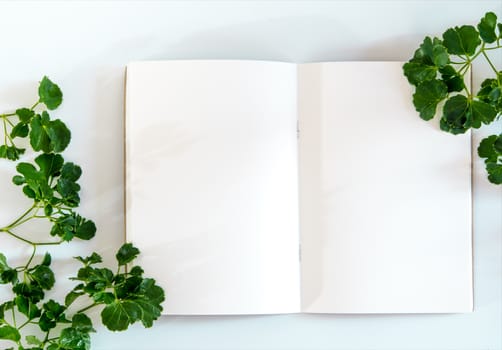 Green leaves around the nature color of blank page notebook