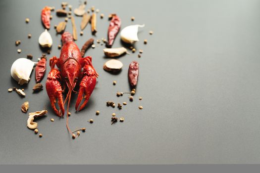 Crayfish red, Baby Lobster with herb for stir fry on black background