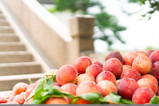 Ripe peaches pile with leaves on a Chinese bridge background