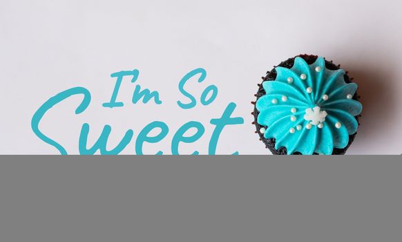 i'm so sweet, the white snow on the blue cream cute cupcake, sweet and dessert concept