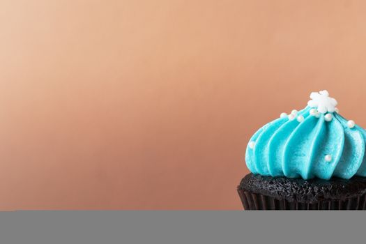cute cupcake with small white snow blue cream on white background
