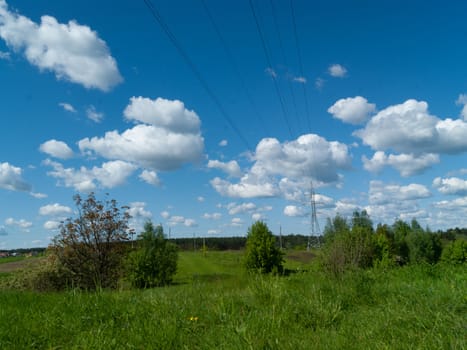 Trees in the meadow and cloudy sky