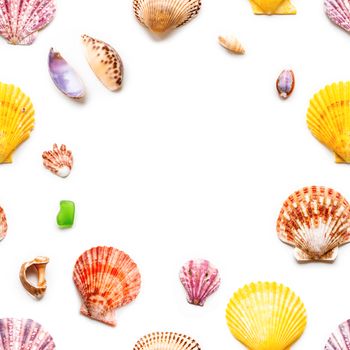 Seamless photo pattern with different sea shells. Flat lay with colorful mollusc shells, corals and wave-worn pieces of glass and stones. Top view on finds from ocean beach. Circle copy space.