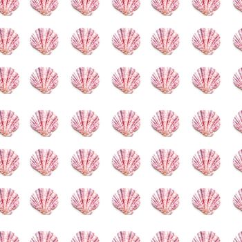 Seamless photo pattern with pink sea shells. Flat lay with purple mollusc shells. Top view on finds from ocean beach.