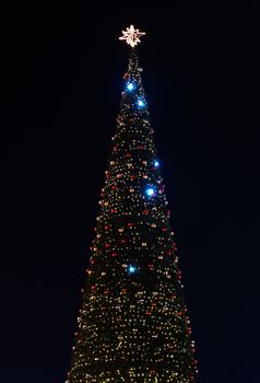 Christmas Tree