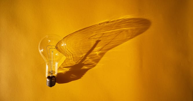 Light bulb and its shadow