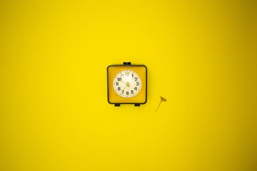 Yellow watch. Alarm clock and wild flower