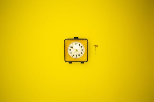 Yellow watch. Alarm clock and wild flower