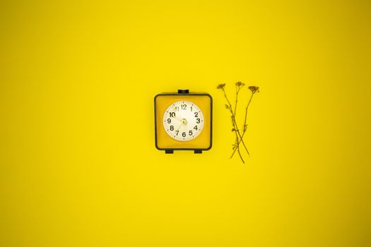 Yellow watch. Alarm clock and wild flower