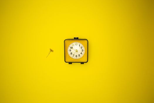 Yellow watch. Alarm clock and wild flower