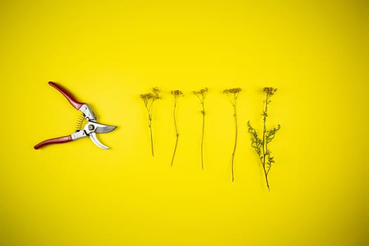 Garden pliers and wildflowers on a yellow background