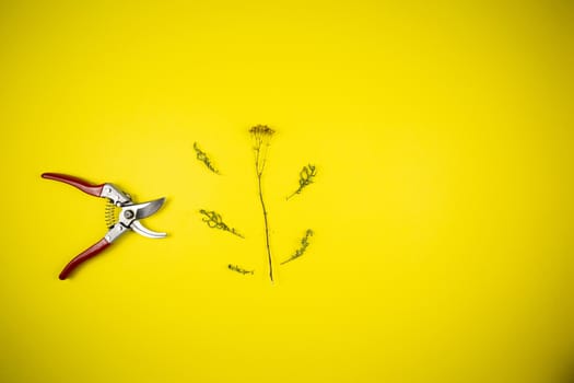 Garden pliers and wildflowers on a yellow background