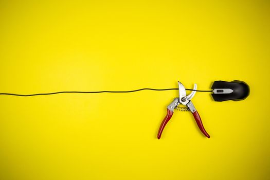 Nippers cut the wire of a computer mouse