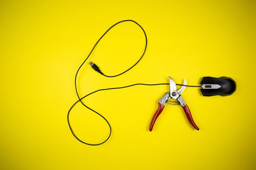 Nippers cut the wire of a computer mouse