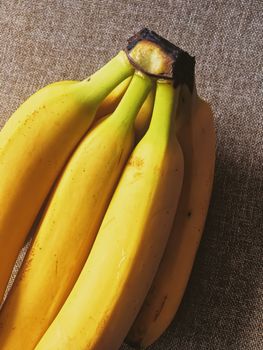 Organic bananas on rustic linen background, fruits farming and agriculture