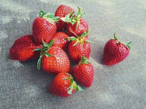 Organic strawberries on rustic linen background, fruit farming and agriculture