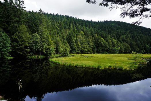 Beautiful combination of black, green and blue at Lac de Lispach, La Bresse