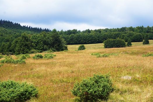 Landscape with a wide view near Le Markstein mountain, France