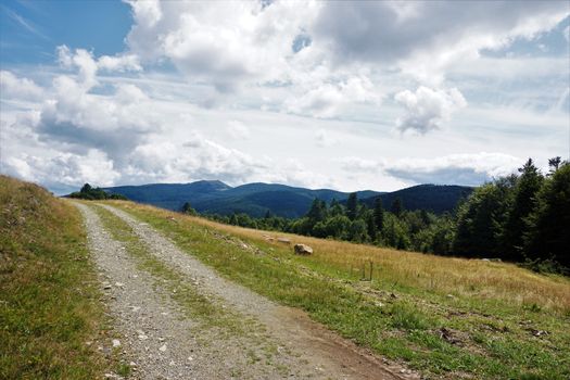 Dirt road in front of mountain ridges of the Vosges, France