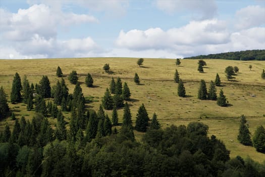 View from the flanks of Le Markstein mountain, France to hill with some trees