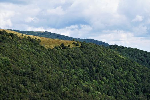 Tree less mountain tops with forest at the flanks spotted in the Vosges, France