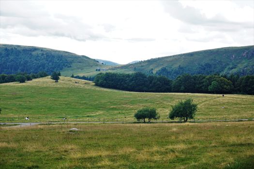 Mountain meadows between the Col de la Schlucht and the Col du Falimont, France