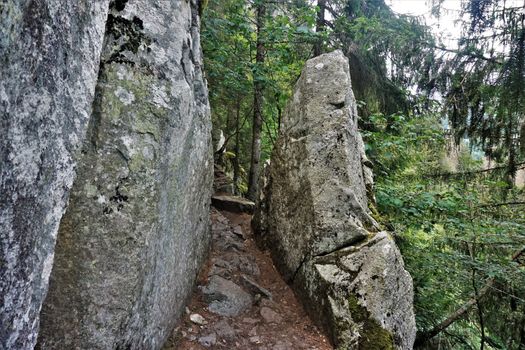 Footpath between two massive rocks on the Sentiers des Roches in the Vosges, France
