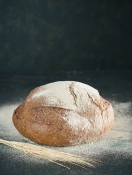 Whole homemade sourdough rye bread with rye spike and rye flour and on black textured background. Copy space. Low key