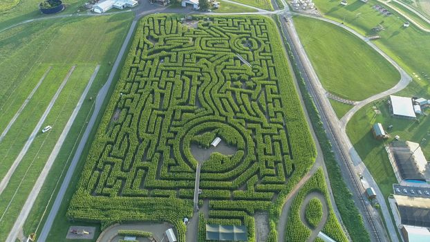 Downward view from a drone of a large corn maze in Pennsylvania