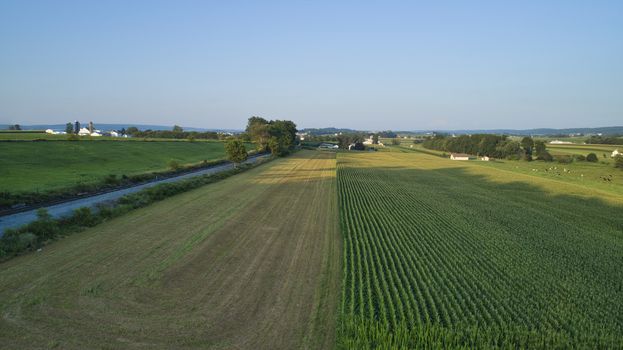 Aerial view of farm lands and corn crop with a train right of way in late afternoon