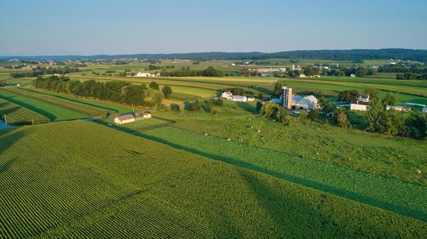 Aerial view of farm lands and corn crop and fields in late afternoon