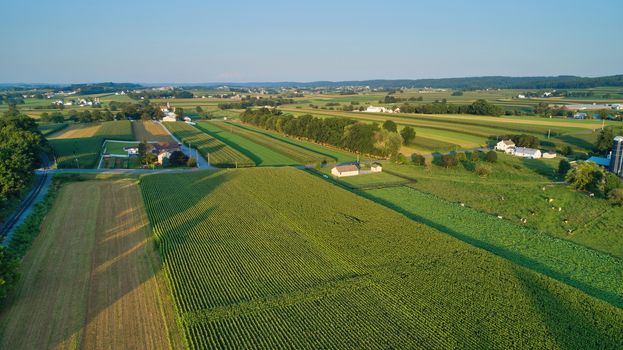 Aerial view of farm lands and corn crop and fields and a one room school house in late afternoon