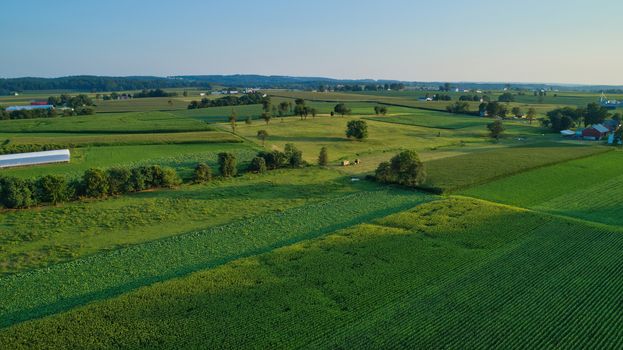 Aerial view of farm lands and corn crop and fields in late afternoon