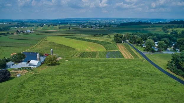 Aerial view of green farmlands and rolling crops growing on a beautiful sky on a sunny countryside