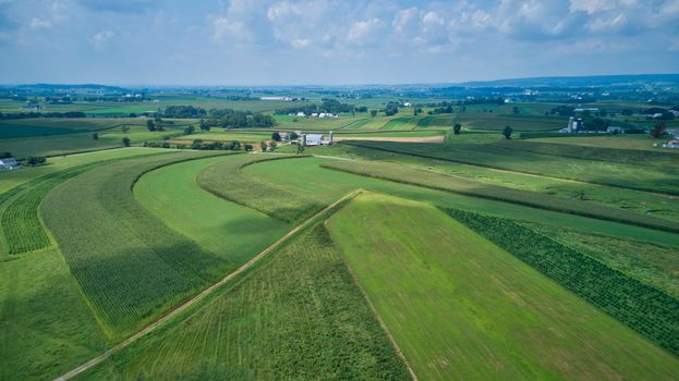 Aerial view of green farmlands and rolling crops growing on a beautiful sky on a sunny countryside