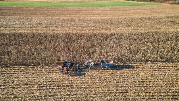 Aerial of an Amish farmer harvesting his corn with six horses pulling the harvester
